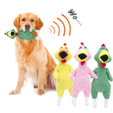 Screaming Chicken Dog Toy