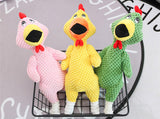 Screaming Chicken Dog Toy