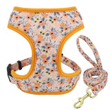 Adjustable Nylon Mesh Collar Harness Leash Set