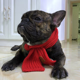 Knited Pet Neck Scarf