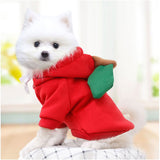 Apple Pet Hoodie Costume