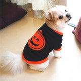 Halloween Pumpkin Dog Sweatshirt