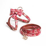 2 Pc Adjustable Leash & Harness Set