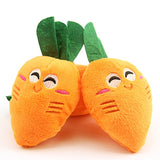 Soft Plush Carrot Squeaky Dog Toy - FREE