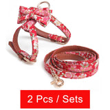 2 Pc Adjustable Leash & Harness Set