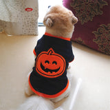 Halloween Pumpkin Dog Sweatshirt