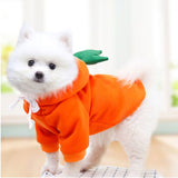 Carrot Pet Hoodie Costume