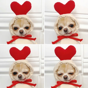 Heart Pet Hoodie Costume