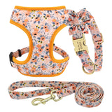 Adjustable Nylon Mesh Collar Harness Leash Set