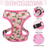 Adjustable Nylon Mesh Collar Harness Leash Set