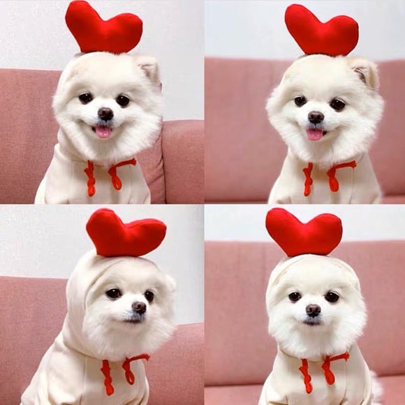 Heart Pet Hoodie Costume