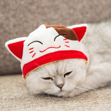 Cat Pet Hood Costume