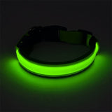 Adjustable LED Dog Collar