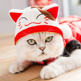 Cat Pet Hood Costume