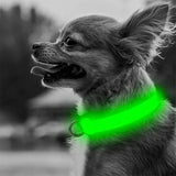 Adjustable LED Dog Collar