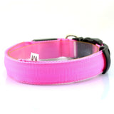 Adjustable LED Dog Collar