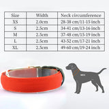 Adjustable LED Dog Collar